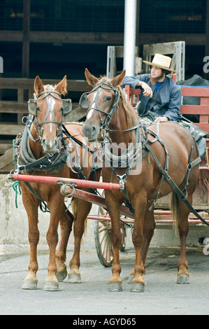 Vita Amish in Millersburg e Sugar Creek Isoloni County Ohio Foto Stock