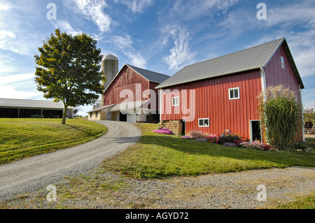 Vita Amish in Millersburg e Sugar Creek Holmes County Ohio Farm scena che mostra uno stile semplice con il farm senza elettricità Foto Stock