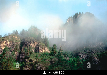 Nebbia di mattina onu il Northern Range Chuiya Altai Russia Foto Stock