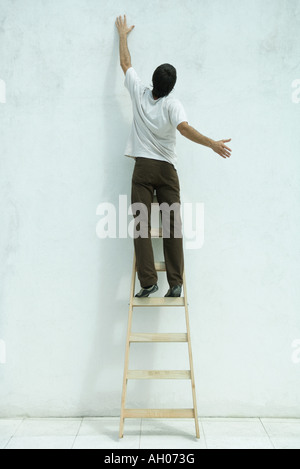 Uomo in piedi sulla scala, il braccio sollevato, vista posteriore Foto Stock