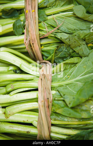 Fasci di senape verdi, frame completo Foto Stock