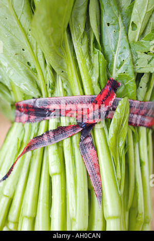 Bundle di senape verdi, close-up Foto Stock