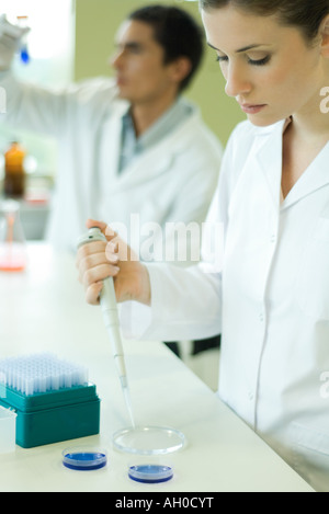 Giovane donna che lavorano nel laboratorio scientifico, tenendo un contagocce su piastra di Petri Foto Stock