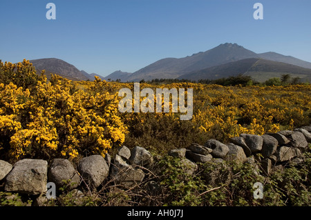 Mourne Mountains, County Down, Irlanda Foto Stock