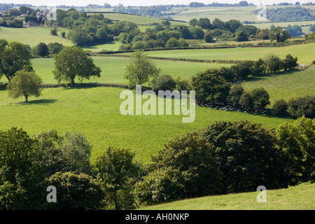 Un paesaggio di rotolamento vicino al villaggio Costwold di freddo Ashton, South Gloucestershire Foto Stock