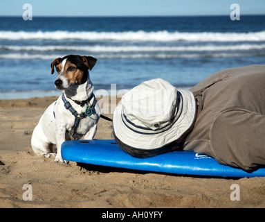Uomo in hat posa su una tavola da surf in spiaggia con il cane Foto Stock