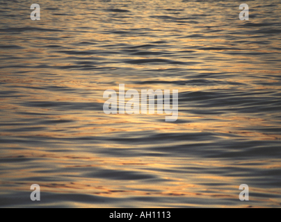 Luce dorata che riflette le ondate in un lago. Foto Stock
