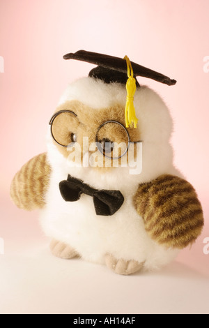Graduazione giocattolo morbido Owl Foto Stock