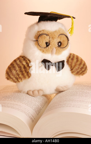 Graduazione giocattolo morbido Owl e prenota Foto Stock