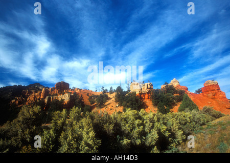 Red Canyon ingresso altopiano Paunsaugunt Bryce Canyon National Park nello Utah Stati Uniti d'America sud-ovest degli Stati Uniti d'America Foto Stock