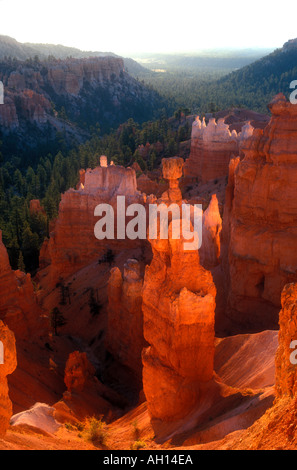 "Bryce Canyon National Park" "Bryce Canyon" Utah with Thors Hammer Hoodoo at sunrise from Sunset Point USA Foto Stock