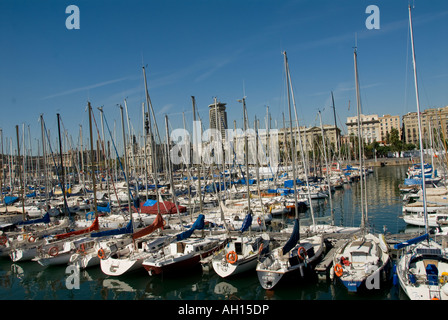 Barche a vela a Moll de la Fusta Port Vell Barcellona Spagna Foto Stock