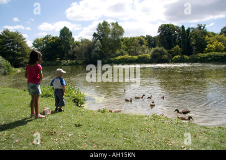 Bambini Le anatre di alimentazione Foto Stock