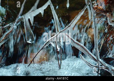 Il ghiaccio è crescente sulle rive di una foresta creek. Foto Stock