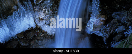Il ghiaccio è crescente sulle rive di una foresta creek. Foto Stock