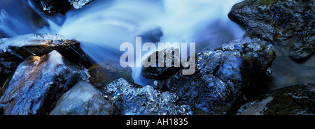 Il ghiaccio è crescente sulle rive di una foresta creek. Foto Stock