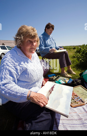 Regno Unito la contea di Down Rossglass due femmina artisti disegno Dundrum Bay e le montagne di Mourne Foto Stock