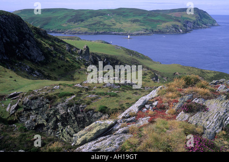 Paesaggi costieri e vitello di Man Isola di Man Foto Stock