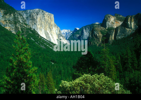 Parco Nazionale di Yosemite Tunnel Visualizza California USA Stati Uniti d'America Foto Stock