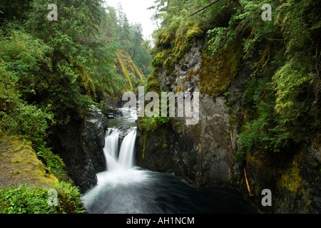 Inglese River Falls Provincial Park, l'isola di Vancouver, British Columbia, Canada Foto Stock