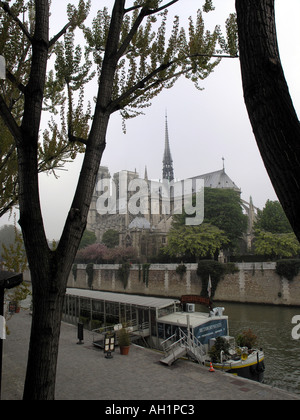 Notre Dame attraverso il Fiume Senna Foto Stock