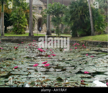 Codrington College, St John Parish, Barbados Foto Stock