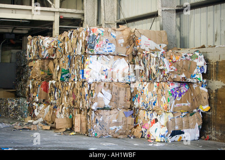 Carta riciclata compattato e raggruppati in strutture di riciclaggio Foto Stock