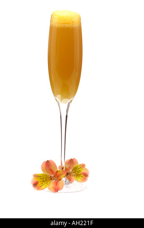 Un cocktail di mimosa con orchid stagliano su sfondo bianco Foto Stock