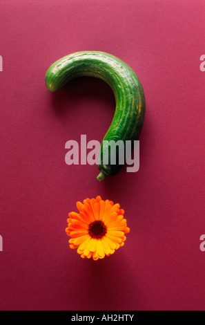 Collage di punto interrogativo con il cetriolo e gerbera gialla fiore su sfondo rosso Foto Stock