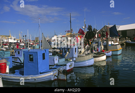 Barche da pesca allineate nel porto di Hirtshals Danimarca Foto Stock