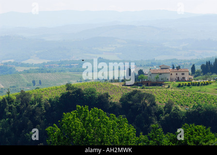 Fumoso di colline in un paesaggio toscano di vigneti con vino PODERE ITALIA Foto Stock