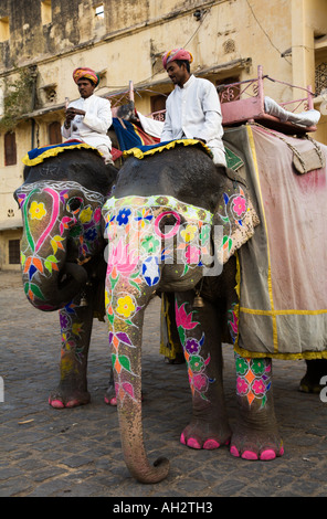 Decorate elefanti utente di traghettare i turisti fino a Forte Amber vicino a Jaipur nel Rajasthan in India Foto Stock