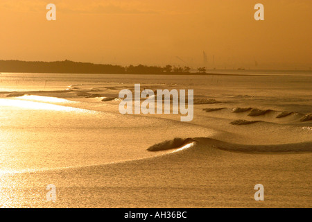 Buona mattina Vietnam,la mattina presto si riflette in golden onde sul fiume Mekong Delta vicino a Saigon Vietnam Foto Stock