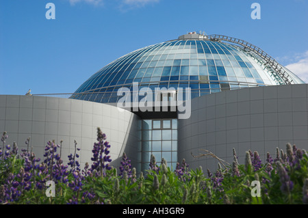 I lupini crescente selvatici al di fuori della perla Perlan acqua calda serbatoio di stoccaggio facility Reykjavik Islanda EU Europe Foto Stock