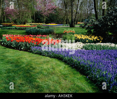 Giardino pieno di fiori di primavera nei Paesi Bassi Foto Stock