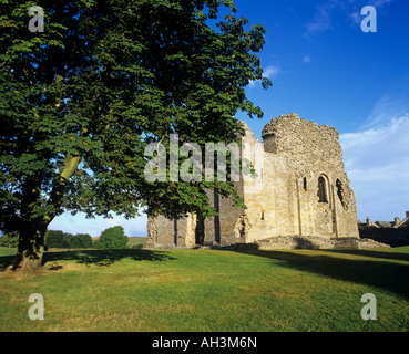 Bowes castello di Teesdale, County Durham, in estate con il blu del cielo Foto Stock