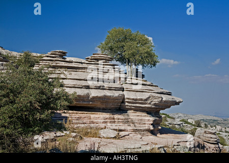 Antequera- El Torcal Riserva Naturale- area insolita di calcare formazioni rocciose nella Spagna meridionale. Foto Stock