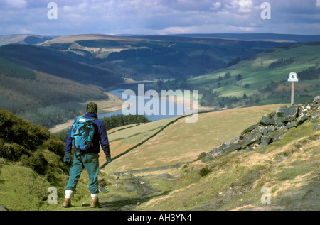 Il camminatore maschio gode di viste dal bordo Derwent su serbatoio ladybower Foto Stock