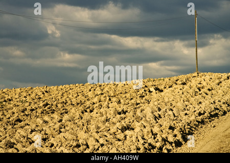 Arare i campi di argilla in presenza di luce solare con cavo telefonico, Pienza, Toscana, Italia Foto Stock