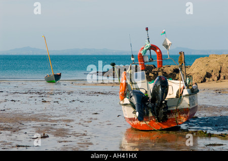 Le barche e il porto con la bassa marea, St Brides, Pembrokeshire, Galles Foto Stock