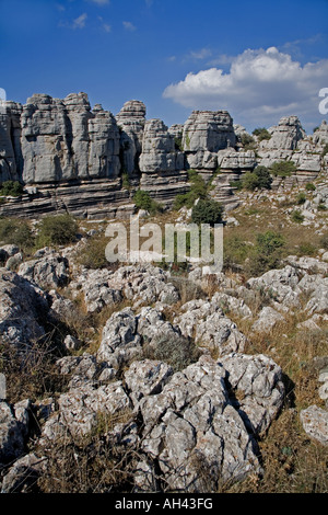 El Torcal Riserva Naturale, Spagna. Foto Stock