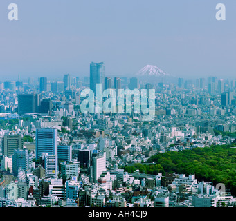 Vista sulla Tokyo, Mt. Fuji e Yoyogi Park dal Governo Metropolitano di Tokyo Tower, Tokyo, Giappone Foto Stock