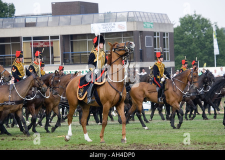 Kings truppa cavallo Royal Artillery display in anello Grand Royal Show del Regno Unito Stoneleigh Foto Stock