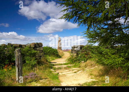 Capitano cuochi monumento Easby Moor vicino grande Ayton North Yorkshire Moors National Park Inghilterra Agosto Heather in fiore Foto Stock