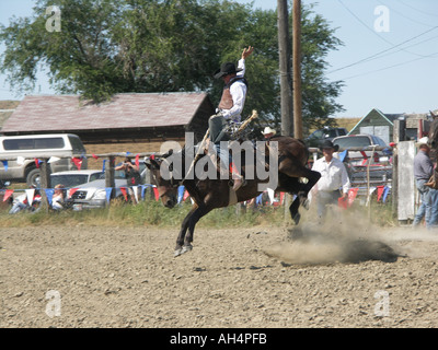 Bucking Bronco Foto Stock