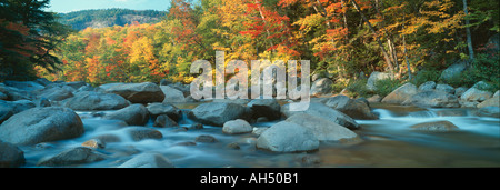 Stati Uniti d'America, New Hampshire, White Mountains National Forest, Swift fiume in autunno Foto Stock