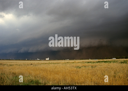 Un enorme nube di polvere viene prelevata da un supercell temporale e inghiotte una città in Parmer County Texas Foto Stock