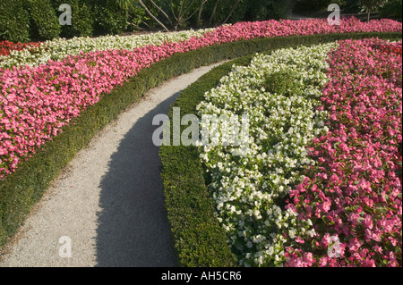 Letti di fiori nel giardino alla francese i giardini formali Mt Edgcumbe Country Park Plymouth Cornovaglia Gran Bretagna Foto Stock