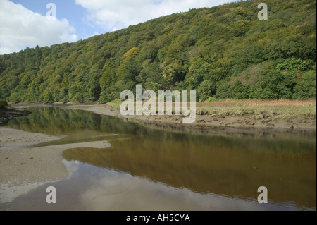 Il fiume Tavy a bassa marea a Lopwell Devon Gran Bretagna Foto Stock