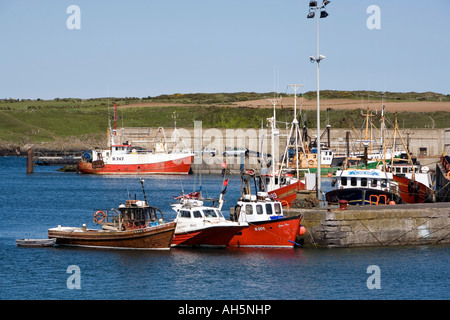Regno Unito Irlanda del Nord la contea di Down Ardglass Harbour Foto Stock
